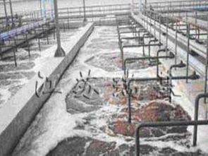 科技賦能，碧水新生 環保設備領域污水處理最新成果展示